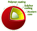 granule cutaway